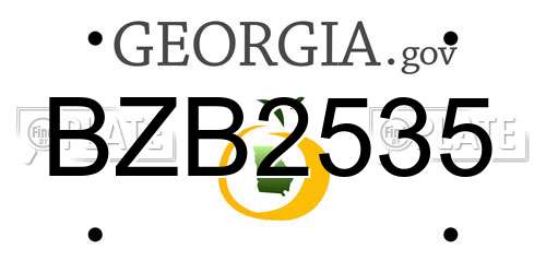 BZB2535 Georgia License Plate