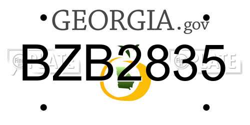 BZB2835 Georgia License Plate