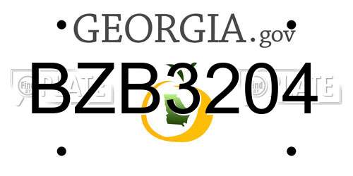BZB3204 Georgia License Plate