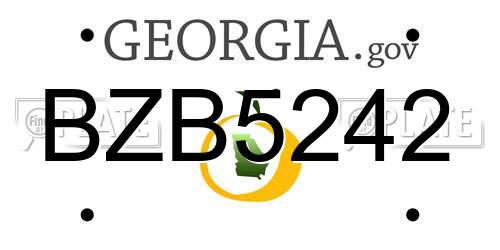 BZB5242 Georgia License Plate