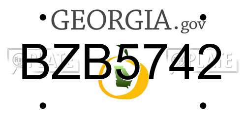 BZB5742 Georgia License Plate