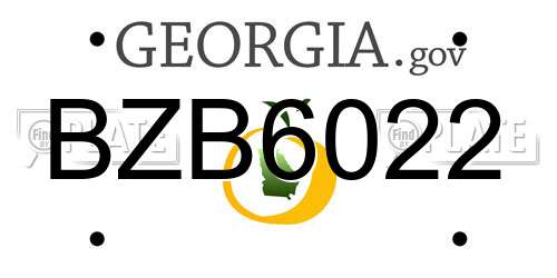 BZB6022 Georgia License Plate