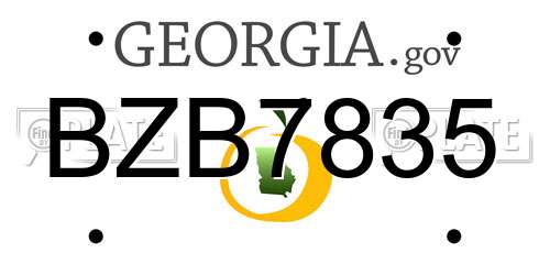BZB7835 Georgia License Plate