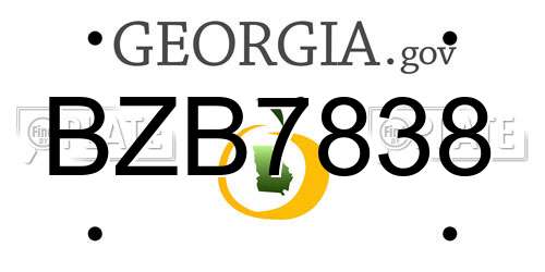 BZB7838 Georgia License Plate