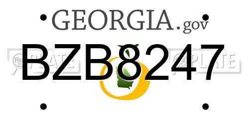 BZB8247 Georgia License Plate