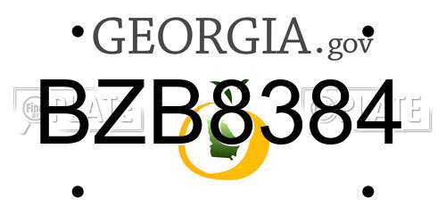 BZB8384 Georgia License Plate