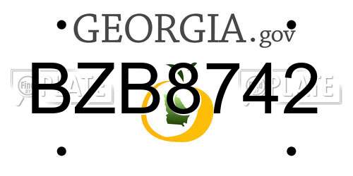 BZB8742 Georgia License Plate