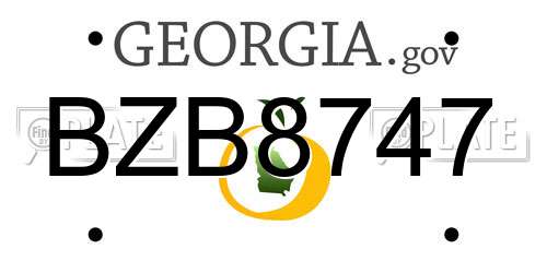 BZB8747 Georgia License Plate