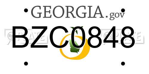 BZC0848 Georgia License Plate