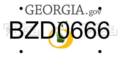 BZD0666 Georgia License Plate
