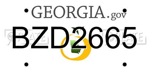 BZD2665 Georgia License Plate