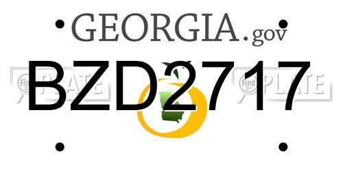 BZD2717 Georgia License Plate