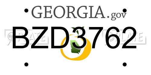 BZD3762 Georgia License Plate