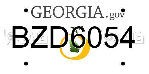 BZD6054 Georgia License Plate