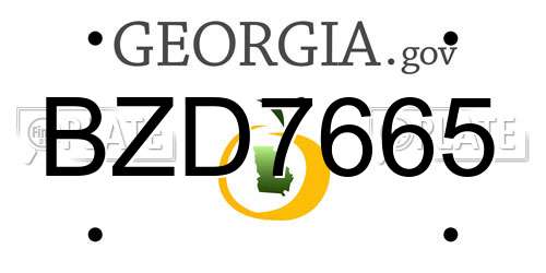 BZD7665 Georgia License Plate