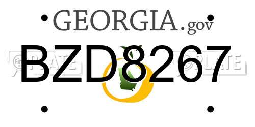 BZD8267 Georgia License Plate