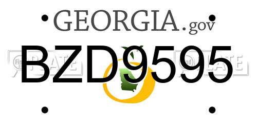 BZD9595 Georgia License Plate