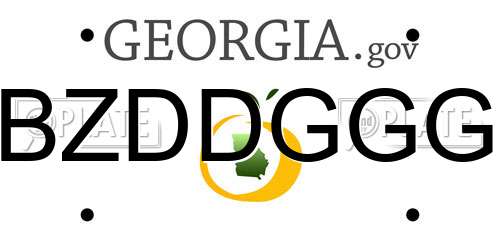 BZDDGGG Georgia License Plate