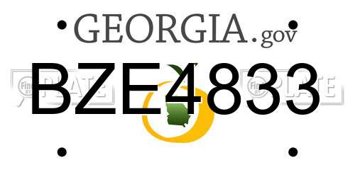 BZE4833 Georgia License Plate