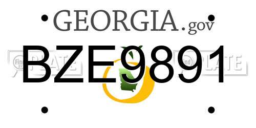 BZE9891 Georgia License Plate