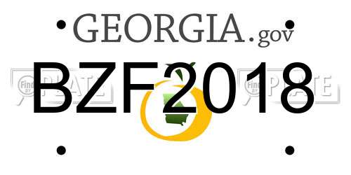 BZF2018 Georgia License Plate