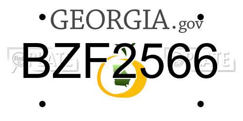 BZF2566 Georgia License Plate