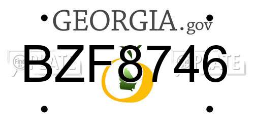 BZF8746 Georgia License Plate