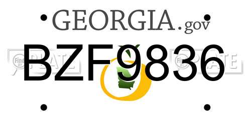 BZF9836 Georgia License Plate