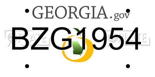 BZG1954 Georgia License Plate