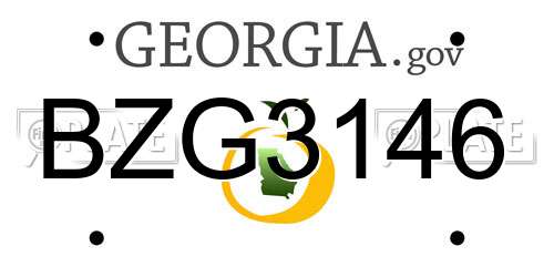BZG3146 Georgia License Plate