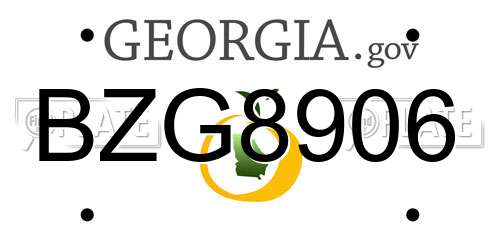 BZG8906 Georgia License Plate