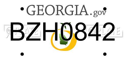 BZH0842 Georgia License Plate