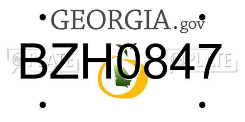 BZH0847 Georgia License Plate