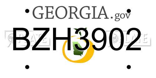 BZH3902 Georgia License Plate