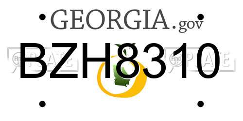 BZH8310 Georgia License Plate