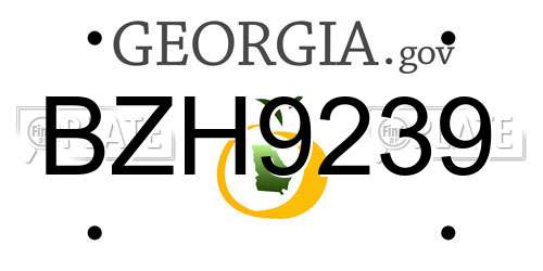 BZH9239 Georgia License Plate