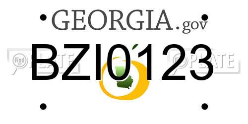 BZI0123 Georgia License Plate