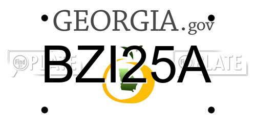 BZI25A Georgia License Plate