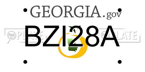 BZI28A Georgia License Plate