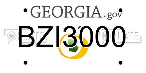 BZI3000 Georgia License Plate