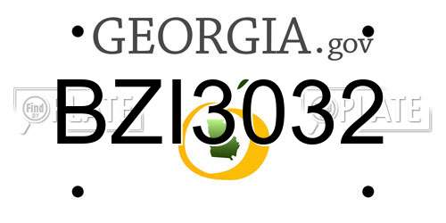 BZI3032 Georgia License Plate