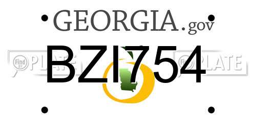 BZI754 Georgia License Plate