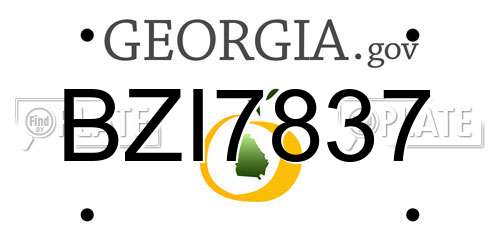 BZI7837 Georgia License Plate