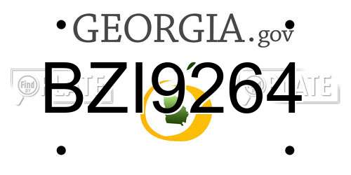 BZI9264 Georgia License Plate