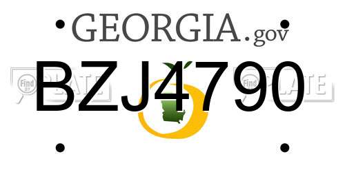 BZJ4790 Georgia License Plate