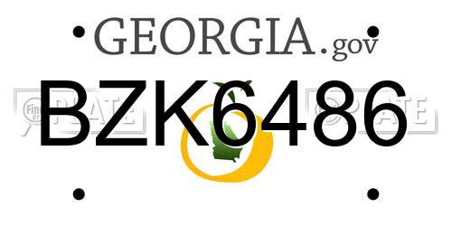 BZK6486 Georgia License Plate