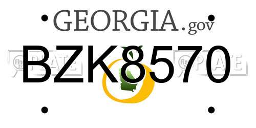 BZK8570 Georgia License Plate