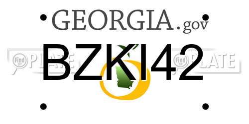 BZKI42 Georgia License Plate