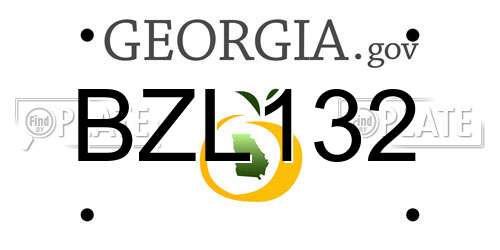 BZL132 Georgia License Plate