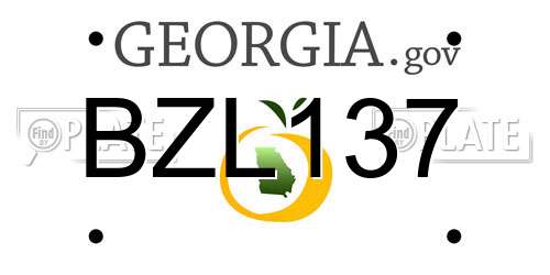 BZL137 Georgia License Plate